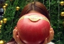 世界上最好吃的十种苹果排行就爱来排行