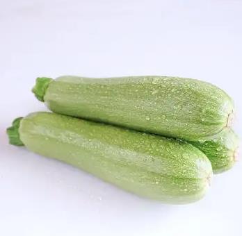 哈口瓜菜