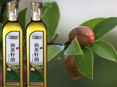 玉屏油茶籽油